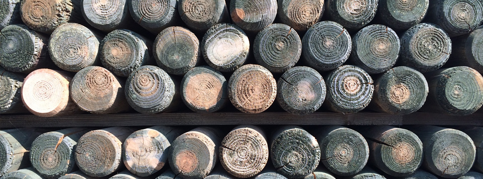 Holz im Garten