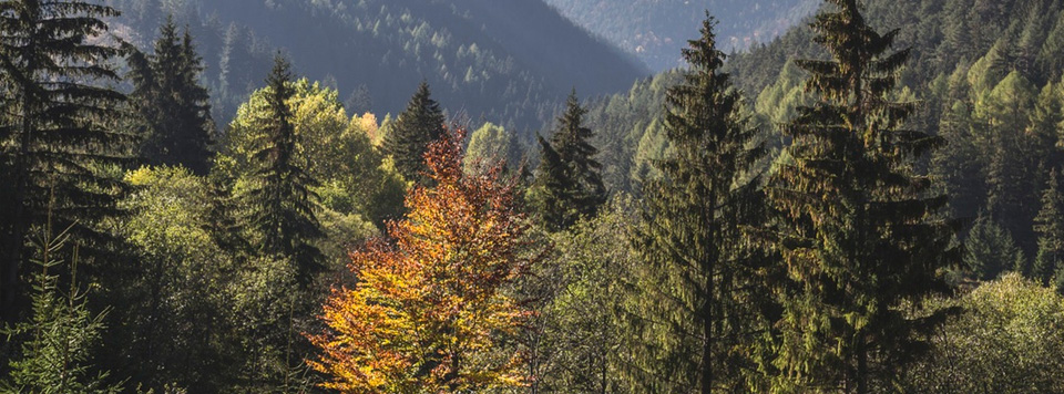 Prikker Fachmärkte in Moormerland